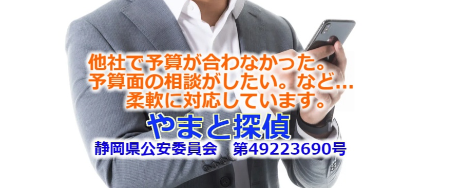 探偵調査料金も柔軟対応広告
